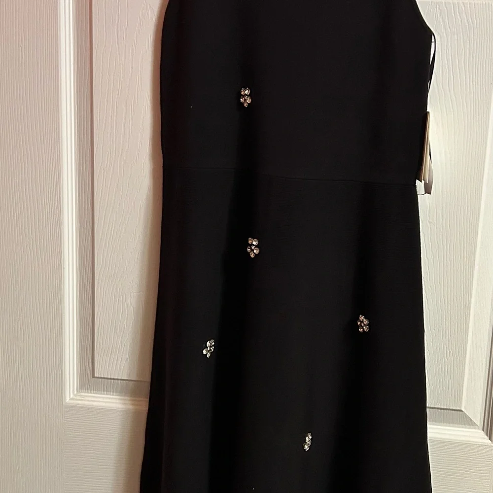 Free Assembly Elegant Black Sleeveless Dress with Floral Accents - Picture 2 of 15